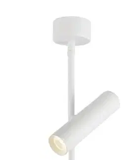 Stropní LED světlo TUBA Candellux
