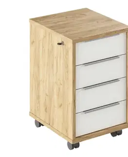 Kontejner se zámkem RIOMA TYP 30 Tempo Kondela