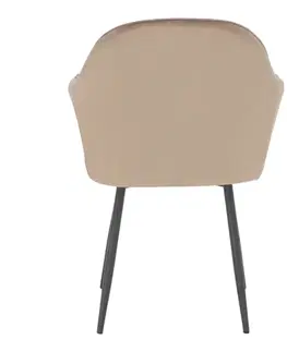 Jídelní křeslo ZIRKON Tempo Kondela