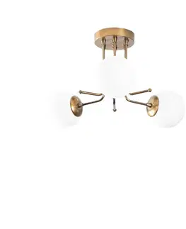 Lustr Daisy - 146-AV3