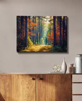 Dekorativní obraz na plátně Kanvas Tablo (50 x 70) - 274