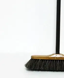 PROHOME - Smeták TEAK přírodní štětiny s násadou