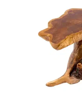Estila Venkovský nepravidelný hnědý příruční stolek Root z masivního dřeva s přírodní nohou z kmene a lakovaným povrchem 40 cm
