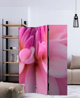Paraván Flower petals - dahlia Dekorhome