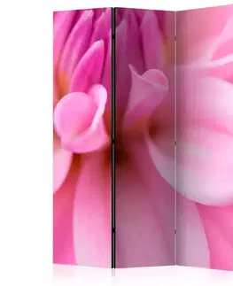 Paraván Flower petals - dahlia Dekorhome