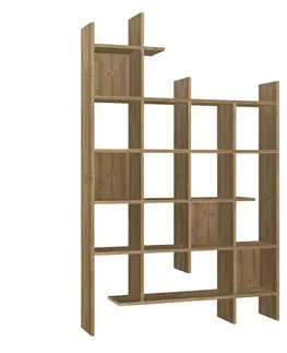 Knihovna Manco Brown