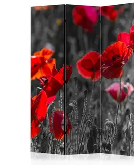 Paraván Red Poppies Dekorhome