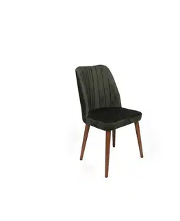 Sada jídelních židlí Alfa Khaki and Walnut, 2 ks