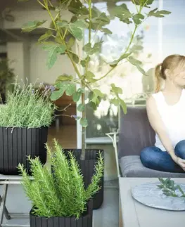 KETER Květináč BRICK PLANTER ML | hnědá