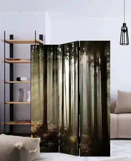 Paraván Coniferous forest Dekorhome