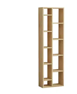 Knihovna Tomi - Sapphire Oak