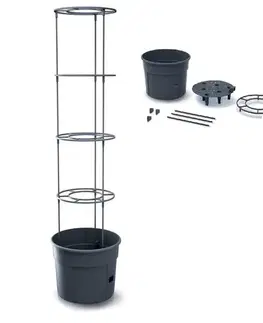 PROSPERPLAST - Květináč na pěstování rajčat 29,5x29,5x24,5cm