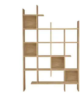Knihovna Manco - Oak