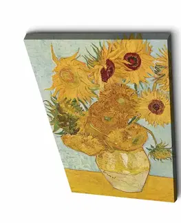 Dekorativní obraz na plátně 4570VANGOGH003