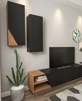 Televizní stolek se skříňkou Zebra Black and Teak