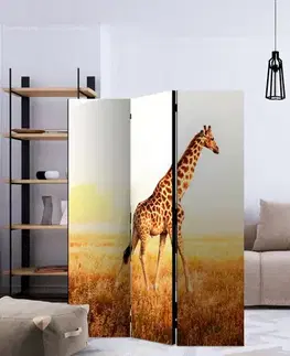 Paraván giraffe - walk Dekorhome