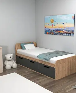 Rám jednolůžkové postele Akser - Atlantic Pine, Anthracite