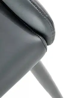 Jídelní židle K465 Halmar