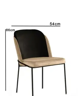 Sada židlí (2 kusy) DR - 145 V2