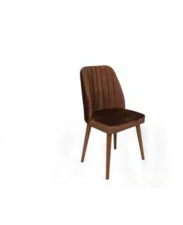 Sada jídelních židlí Alfa Brown and Walnut, 2 ks