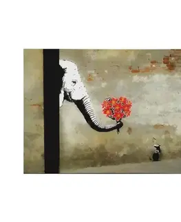 Dekorativní obraz na plátně WY116 (50 x 70)
