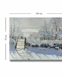 Dekorativní obraz na plátně 70100MONET014