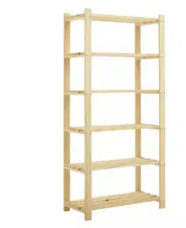 Knihovna 6 polic nelak