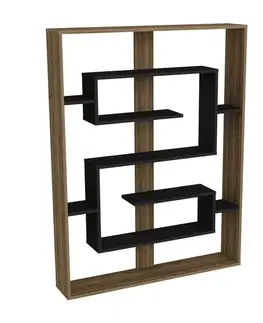 Knihovna Esteban Walnut and Black