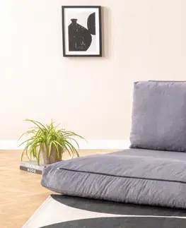 Dvoumístná rozkládací pohovka Taida - Grey