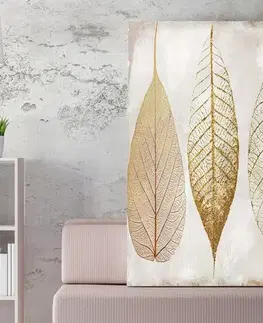 Dekorativní obraz na plátně WY81 (50 x 70)