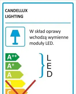Stropní svítidlo Lux Plafon 16W LED 6500K bílé velké prstence
