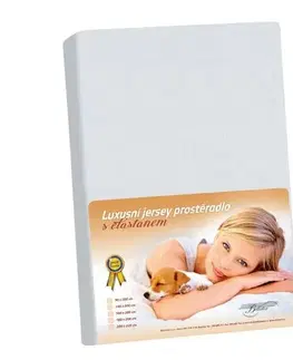 Bellatex Jersey prostěradlo s elastanem světle šedá, 220 x 200 cm
