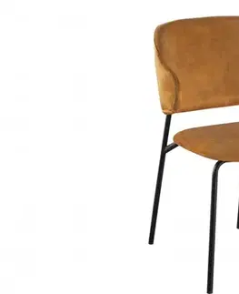 Jídelní židle 2 ks CHRYSAOR Dekorhome