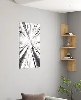 Nástěnná police ZIKZAK