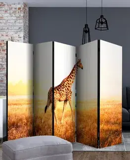 Paraván giraffe - walk Dekorhome