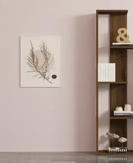 Knihovna Wand - Walnut