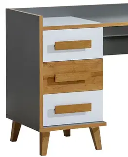 Dolmar PC stolek WORSE W8