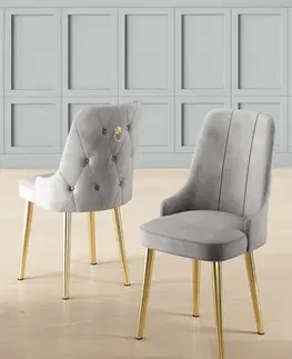 Sada židlí (4 kusy) Newa - Grey, Gold