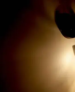 Nástěnná lampa FELIS Candellux