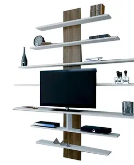TV stěna / Sestava pod TV Zebra - White, Walnut