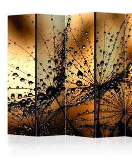 Paraván Dandelions in the Rain Dekorhome