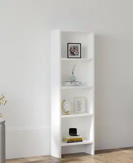 Knihovna Barkin White