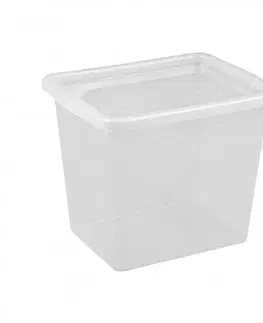 PLAST TEAM - Box úložný 31l BASIC plastový