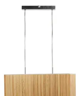 Stropní lampa Cajman 2X60W E27 50X20 cm