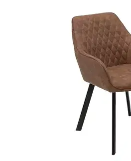 Jídelní křeslo 2 ks PELEUS Dekorhome
