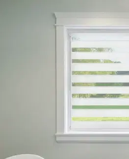 FEXI Roleta Den a noc, Origin bílá, A 001b, 150x77 cm