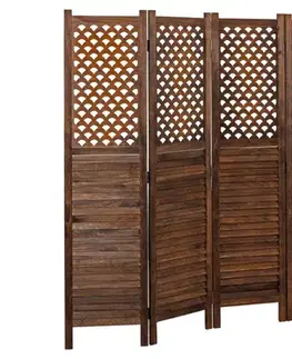 Designový paraván 6dílný Dekorhome