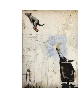 Dekorativní obraz na plátně WY117 (50 x 70)