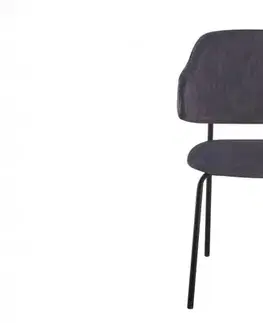 Jídelní židle 2 ks CHRYSAOR Dekorhome