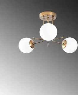 Lustr Daisy - 146-AV3